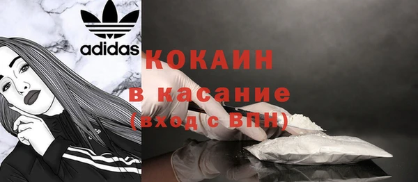 крисы Медвежьегорск