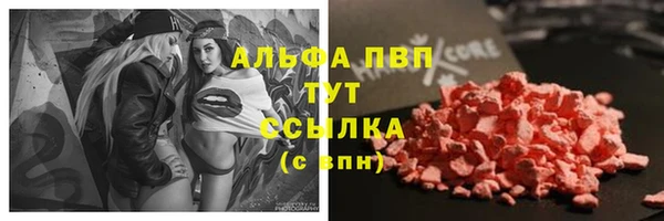 крисы Медвежьегорск