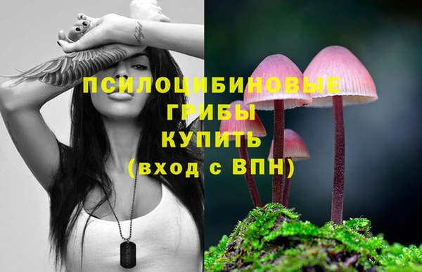 героин Михайлов