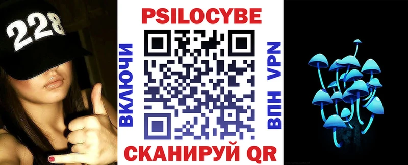 Галлюциногенные грибы Psilocybine cubensis  цены наркотик  Новосибирск 