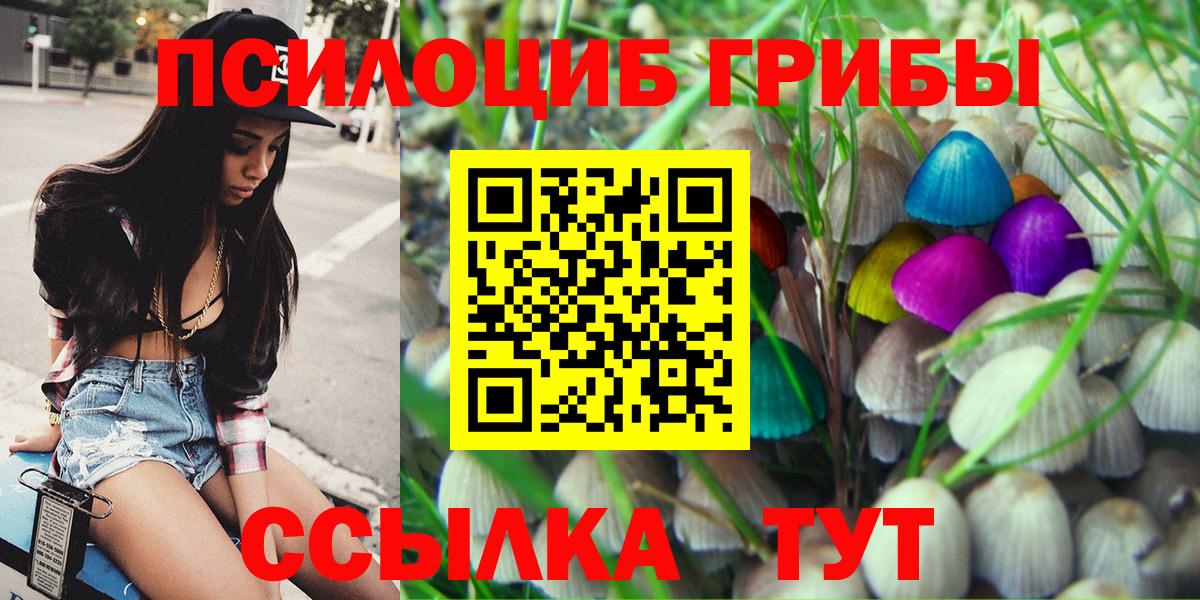 Галлюциногенные грибы MAGIC MUSHROOMS  наркота  Новосибирск  Вход с VPN 